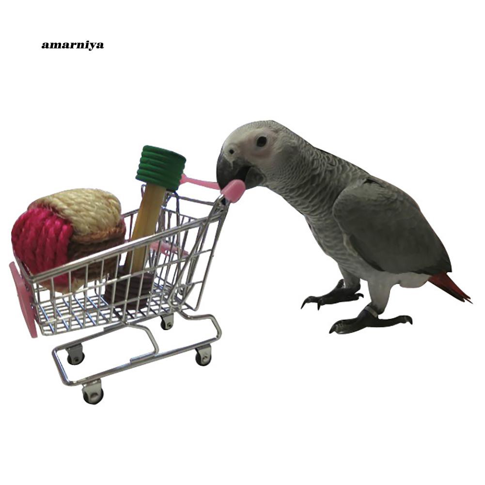 Đồ chơi xe đẩy siêu thị Mini cho thú cưng