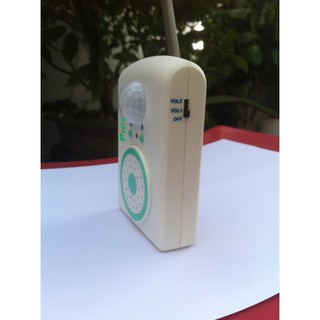 BÁO KHÁCH TIẾNG VIỆT DECOM