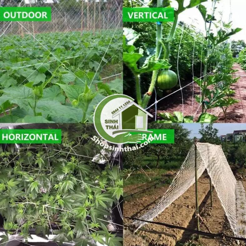 Lưới cước làm giàn leo màu trắng lỗ rộng 20cm, làm hàng rào, lưới chắn bóng