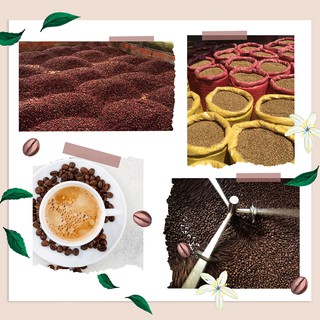 Cà Phê Nguyên Chất Rang Xay 81 cafe (coffee bột Robusta,Abarica)