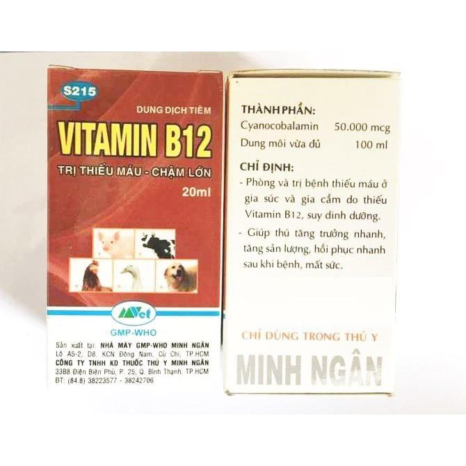 Combo 3 chai Vitamin B12 cho hoa lan, cây cảnh 100ml