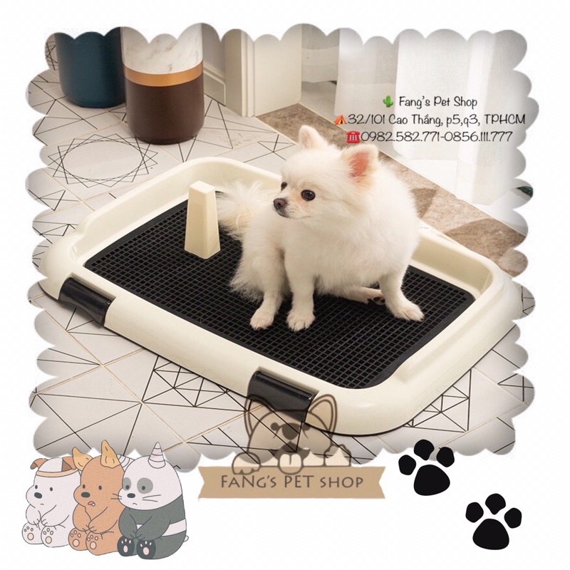 KHAY VỆ SINH CHO CHÓ 🐶