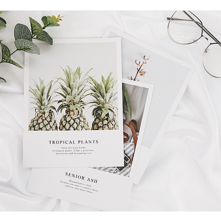 Link 1-Postcard decor dày và đẹp-Bìa Ảnh Nhiều mẫu xinh xắn trang trí chụp ảnh