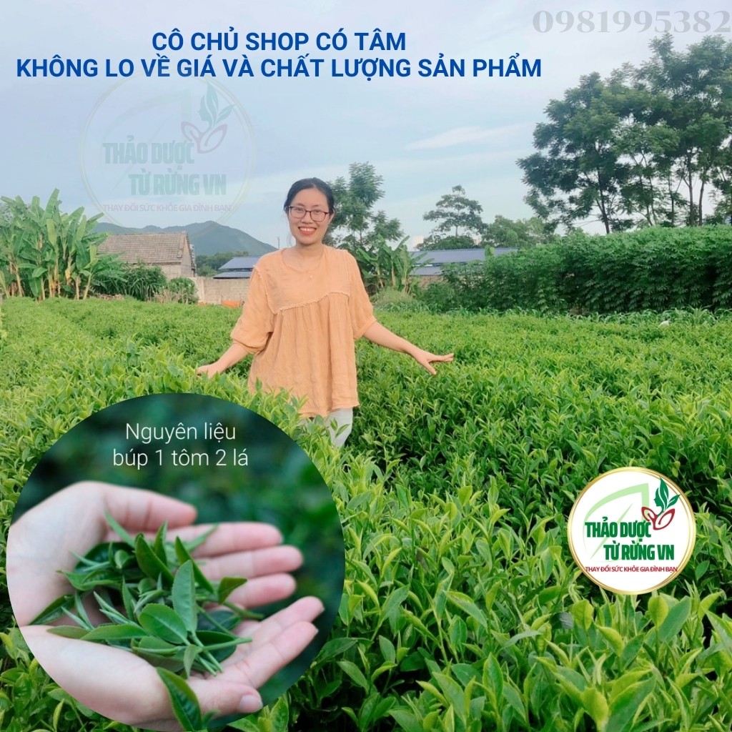 Trà Xanh Thái Nguyên Đệ Nhất Danh Trà 500G Xanh Sạch An Toàn 100% Gốc Chè Thái Nguyên Thảo Dược Từ Rừng VN