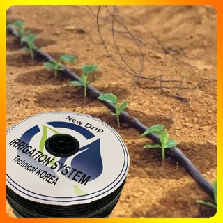 Ống Dây Tưới Nhỏ Giọt Phi 16mm dày 0.2mm Khoảng Cách 10cm Cho Đồng Ruộng, Nông Trại, Nhà Kính