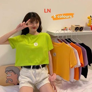 Áo croptop dáng bassic thêu hoa cúc nhỏ