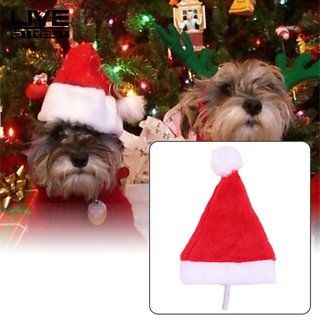 Nón Noel xinh xắn cho thú cưng