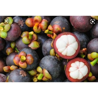 Măng cụt 1kg=40k, mangoteen fruit