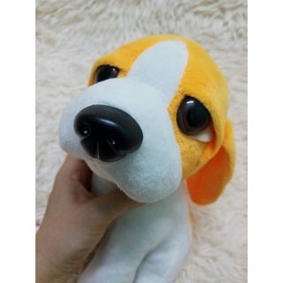 gấu bông con chó lạp xưởng