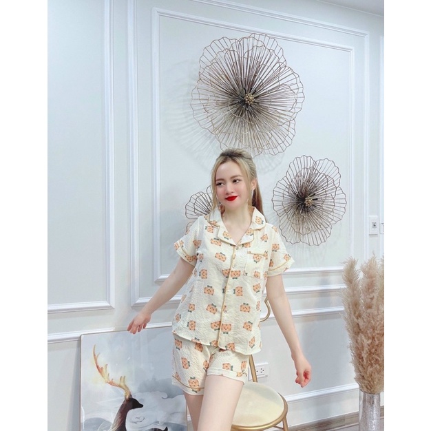 Bộ pijamas chất đũi hoạ tiết nhiều hình mặc nhà, Đồ ngủ xinh quần đùi áo cộc mặc mát cho mùa hè