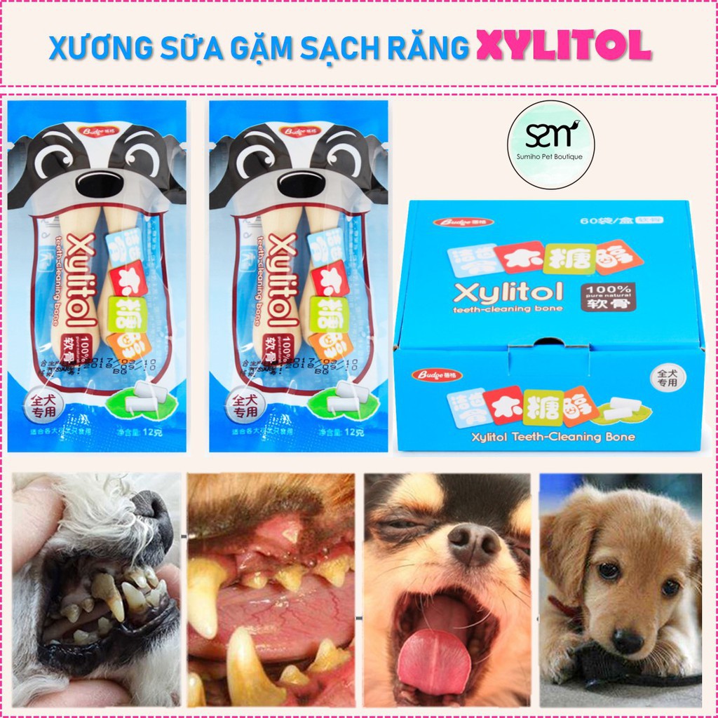 Xương sữa bạc hà sạch răng xylitol cho chó mèo (Gói 12g/2 cái)