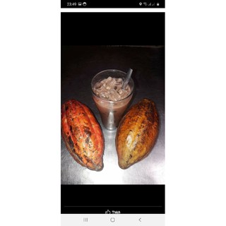Cacao nguyên chất