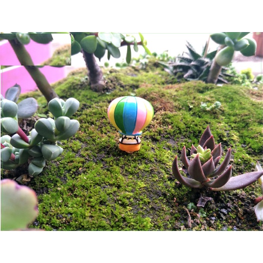 ❤❤Khinh Khí Cầu Nhiều Màu❤❤ Phụ Kiện Trang Trí Tiểu Cảnh Sen Đá, Terrarium, Decord Mô Hình, Nhà Búp Bê