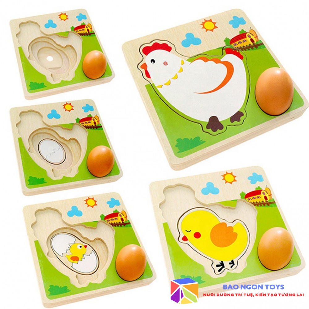 ĐỒ CHƠI XẾP HÌNH QUÁ TRÌNH LỚN LÊN CỦA CHÚ GÀ – BAO NGON TOYS