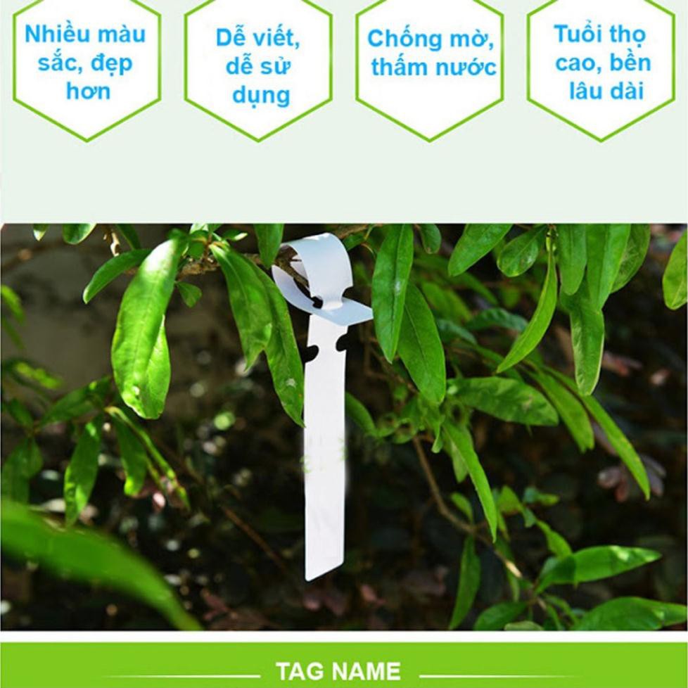 100 Thẻ nhựa ghi tên cây, đánh dấu đồ vật (màu ngẫu nhiên)