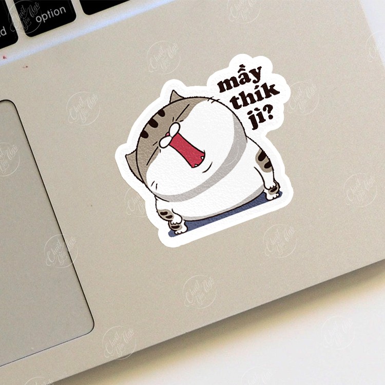 Combo 30/60/120/180 sticker decal hình dán chủ đề Mèo AMI bụng bự dễ thương xe, dán mũ bảo hiểm, dán laptop, điện thoại