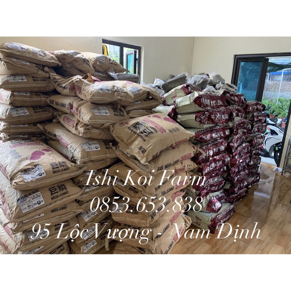 Cám cá koi Hikari Daily  - cám tăng trưởng, tăng màu cao cấp