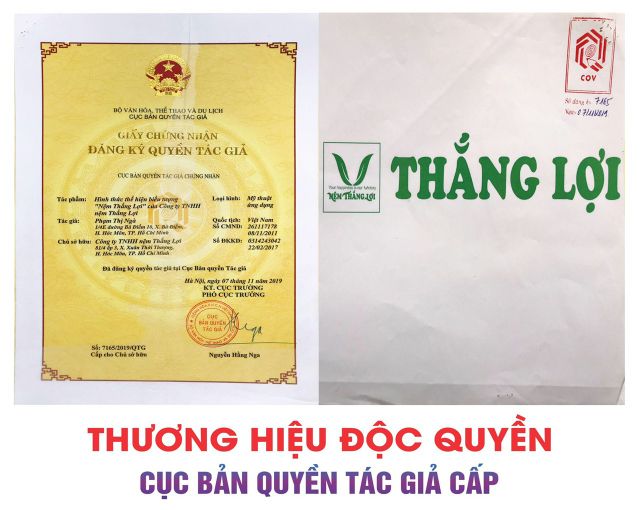 Nệm cao su non Thắng Lợi dày 10cm