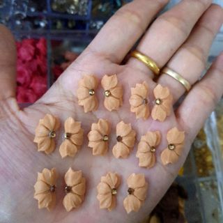 Hoa bột nửa bông( gạt ảnh xem màu)