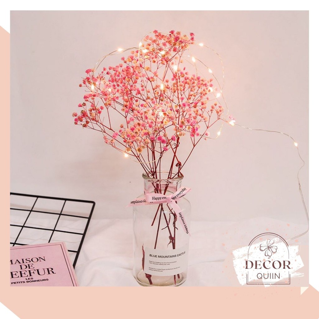 [MUA 1 TẶNG QUÀ] Quà tặng hoa khô trang trí Decor bó hoa BABY khô nhỏ xinh decor nội thất