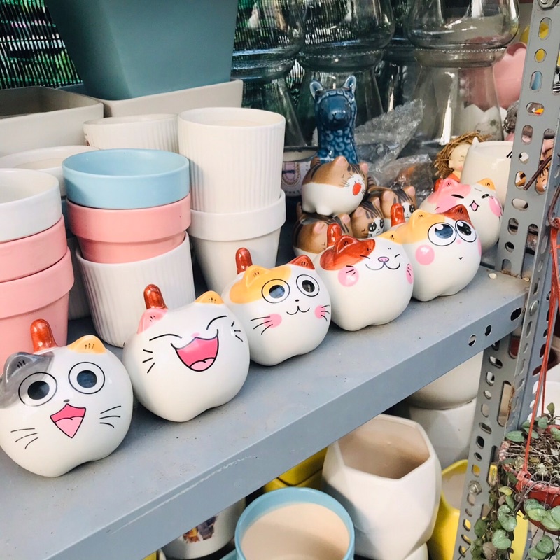 Chậu thú cute, trồng cây để bàn, chậu dễ thương nhiều hình ngộ nghĩnh