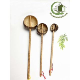 Gáo dừa múc nước - chọn gáo