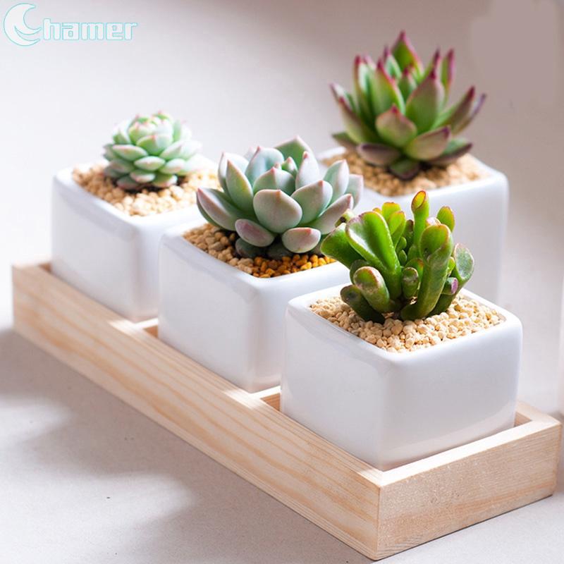 Khay đựng chậu cây cảnh trang trí nội thất