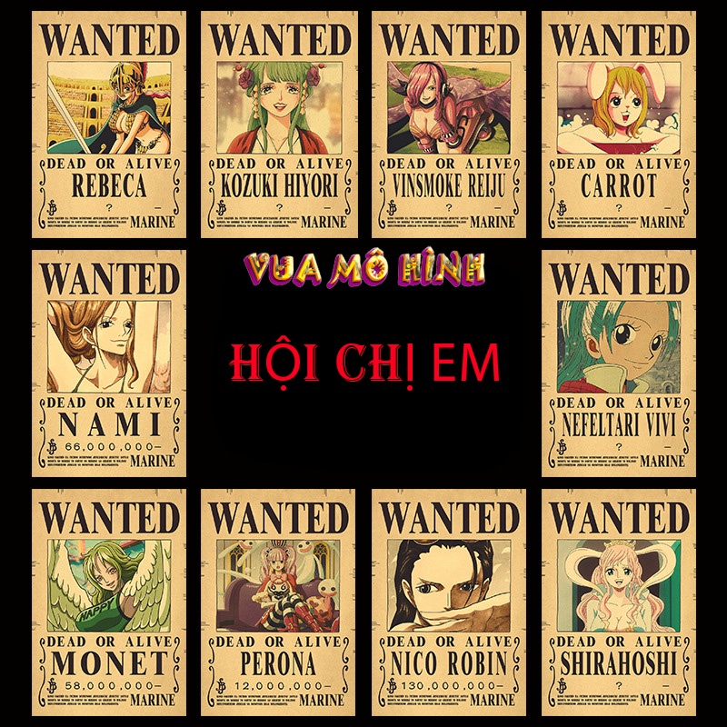 Mô hình One piece- Poster truy nã các nhân vật One piece dùng để trang trí phòng đẹp kích thước 42 * 29cm