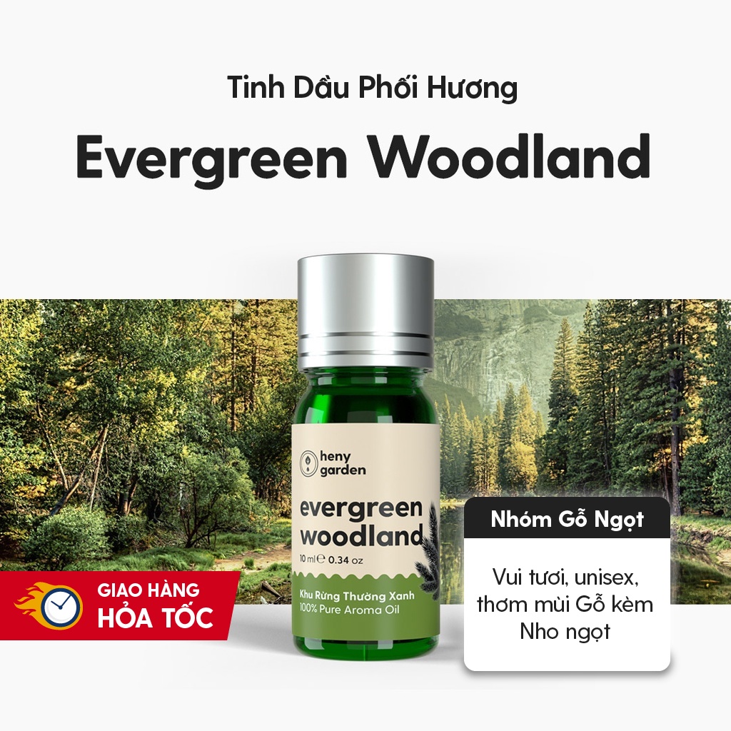 Tinh Dầu Phối Hương Evergreen Woodland (Gỗ Lá Rêu) Làm Nến Thơm, Xông Thơm Phòng HENY GARDEN