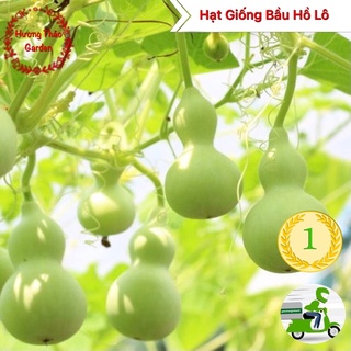 Hạt Giống Bầu Hồ Lô 1gr