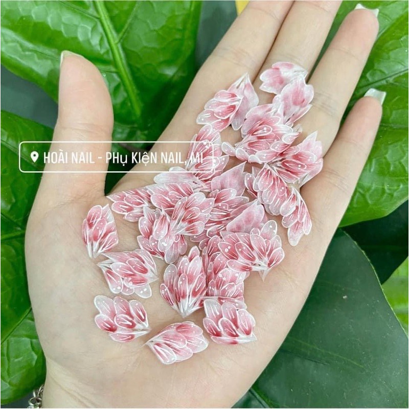 hoa bột ẩn chân, gắn nổi cũng xinh (1 bông)