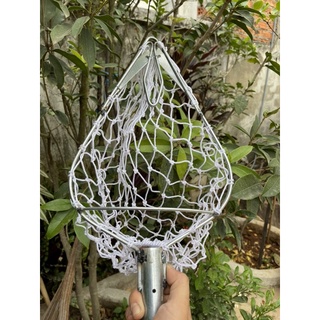 Vợt hái trái cây trên cao