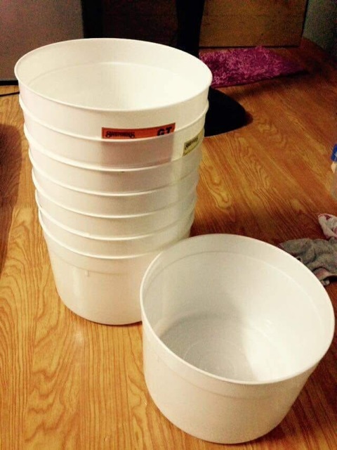 Thùng kem nuôi cá 5 lít - cao 16cm đường kính 25cm - thùng đựng kem đã được rửa lại