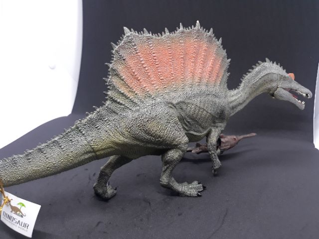 Mô hình đồ chơi khủng long săn cá Spinosaurus. .