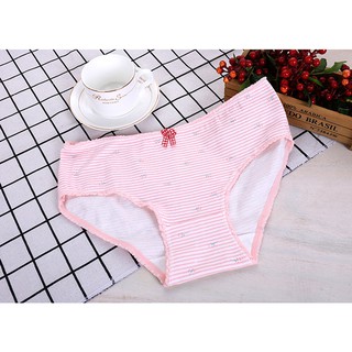 Combo 6 Quần lót cotton cao cấp QL5
