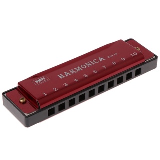 Kèn harmonica 10 phím có hợp đựng độc đáo