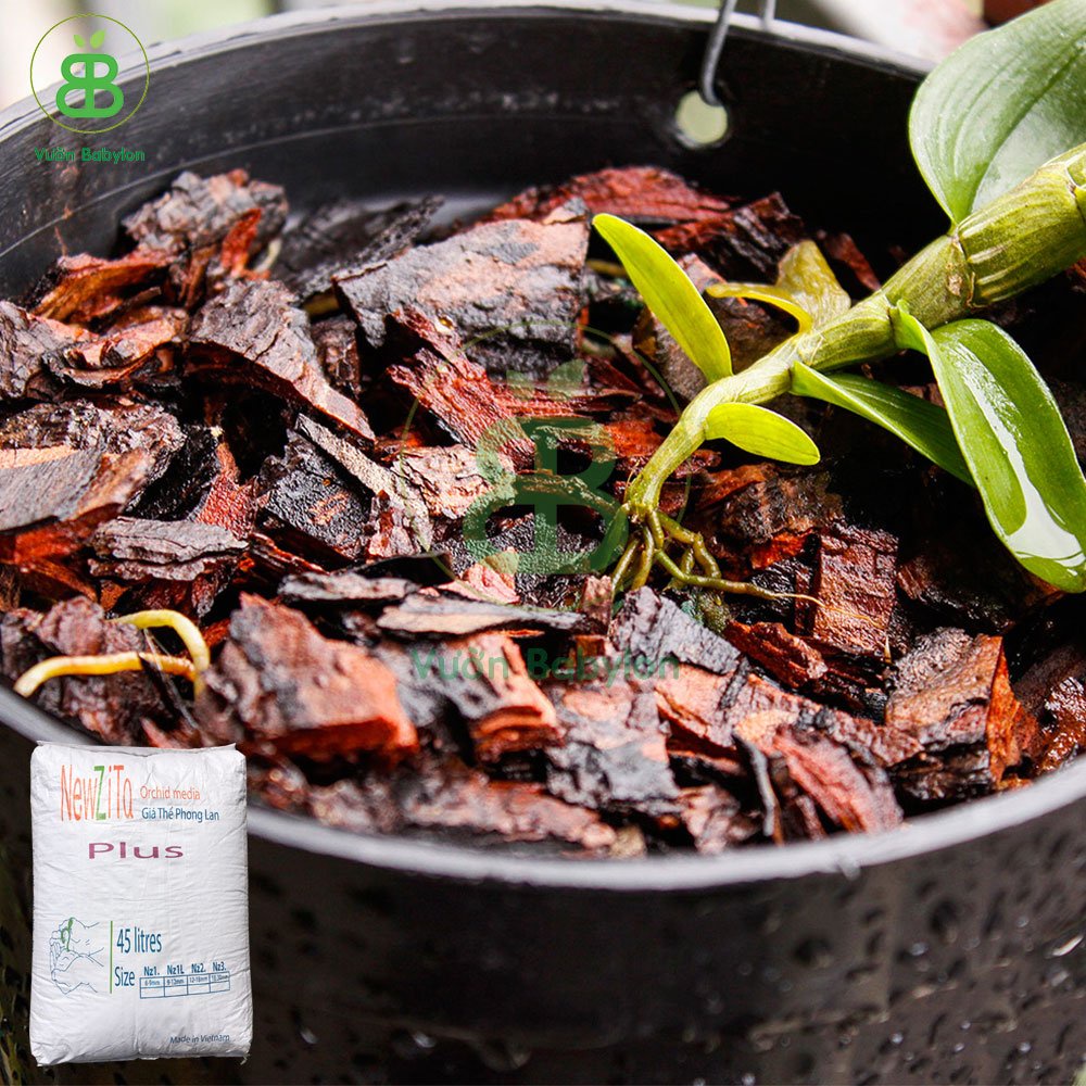 Vỏ Thông NewZita Plus Bao 45lit Nhiều Kích Thước (gần 15Kg)