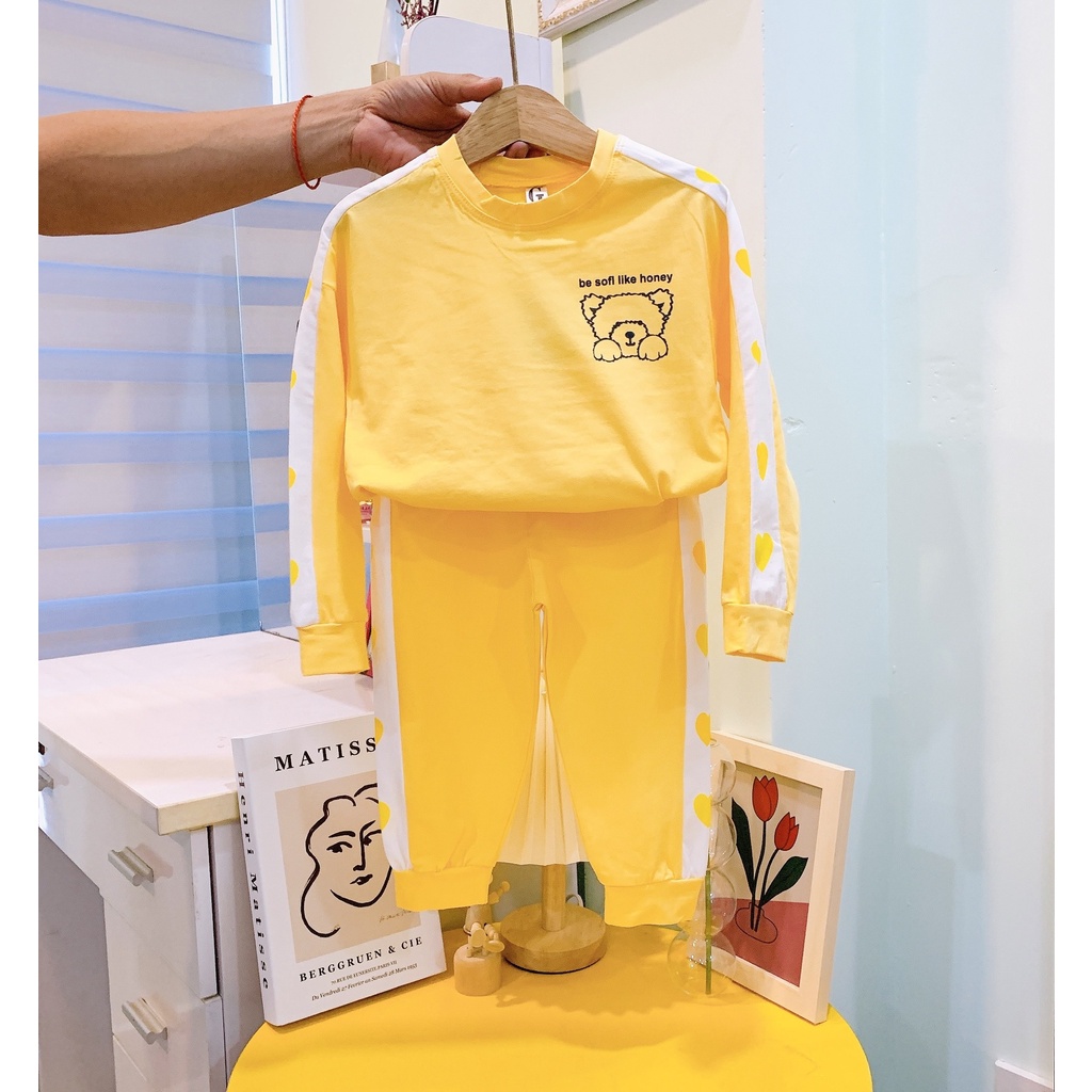 Lyvyshop - (Hàng đẹp) Bộ dài tay siêu dễ thương cho bé gái 08-28kg