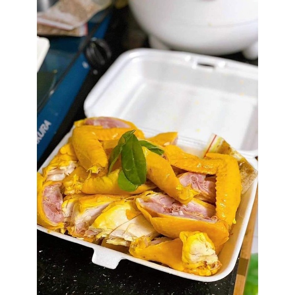 GÀ TA Ủ MUỐI NGUYÊN CON