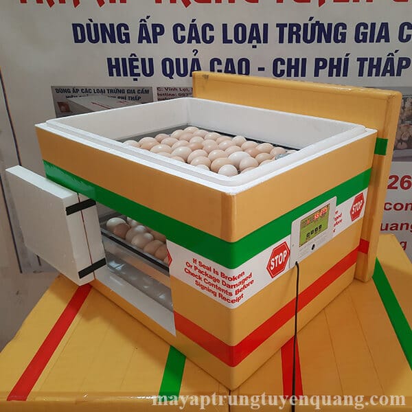 Máy Ấp 120 Trứng Vỏ Xốp Tự Động Có Thùng Về Ấp Luôn
