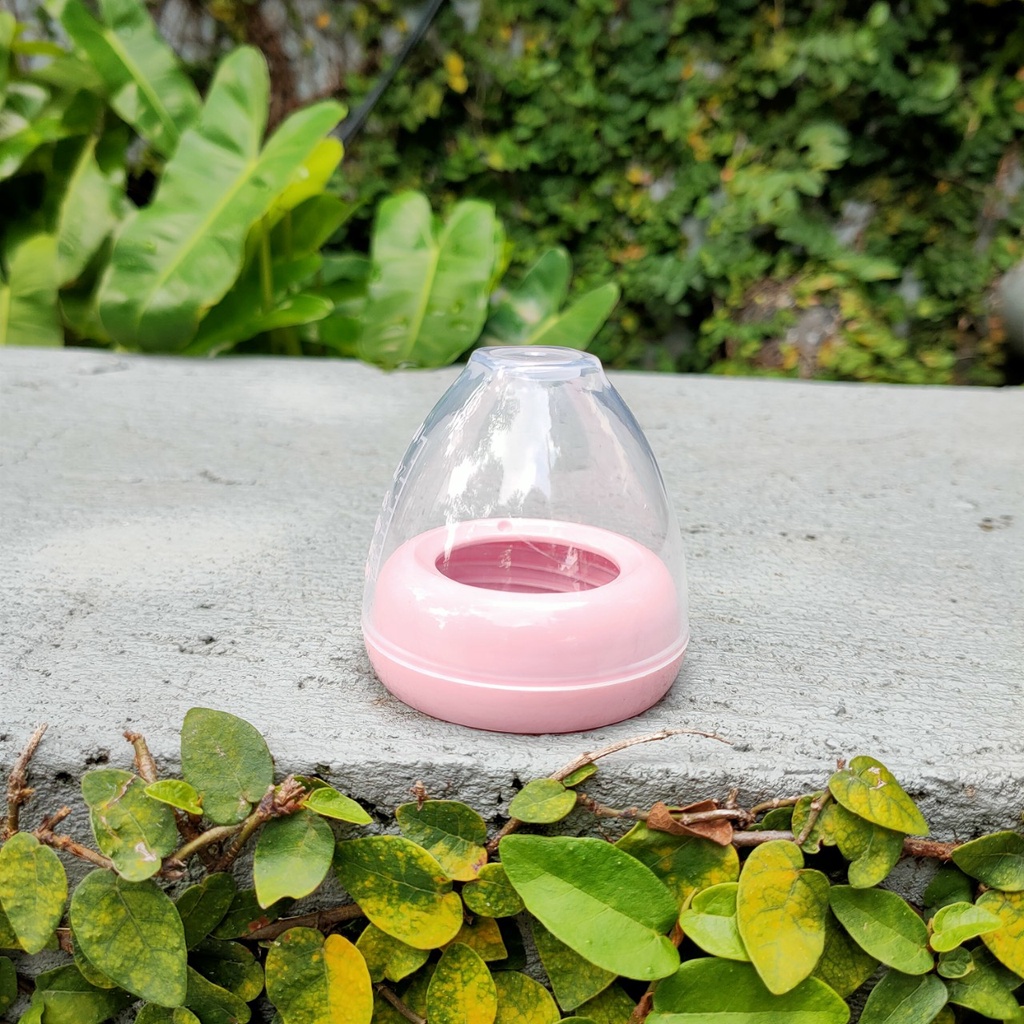 Bộ cổ nối và nắp đậy núm ti cho bình sữa cổ rộng avent, spectra BPA free