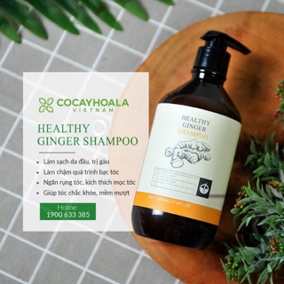 Dầu gội + dầu xả gừng Cỏ cây hoa lá