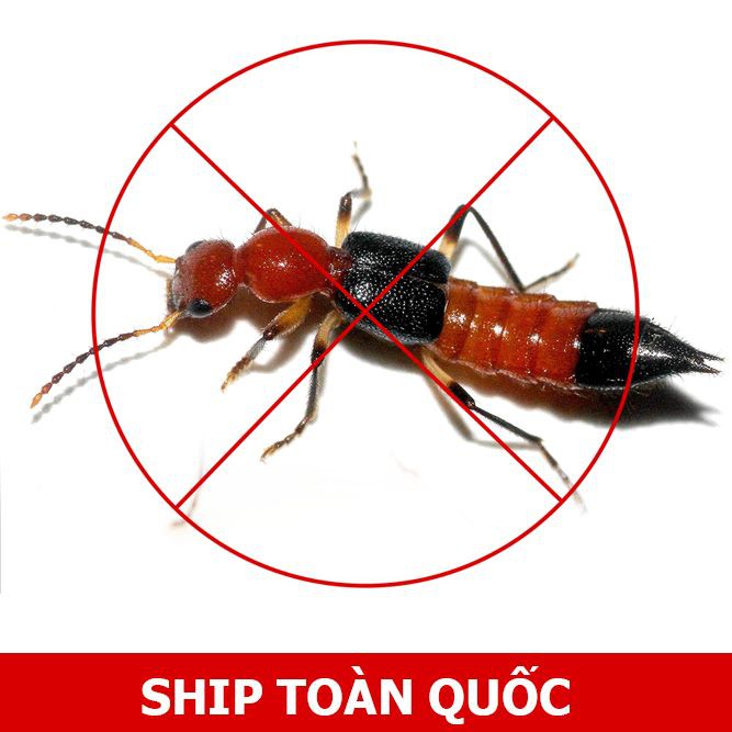 Thuốc diệt kiến gián tận gốc Ant Bio lọ 20ml - An toàn và hiệu quả