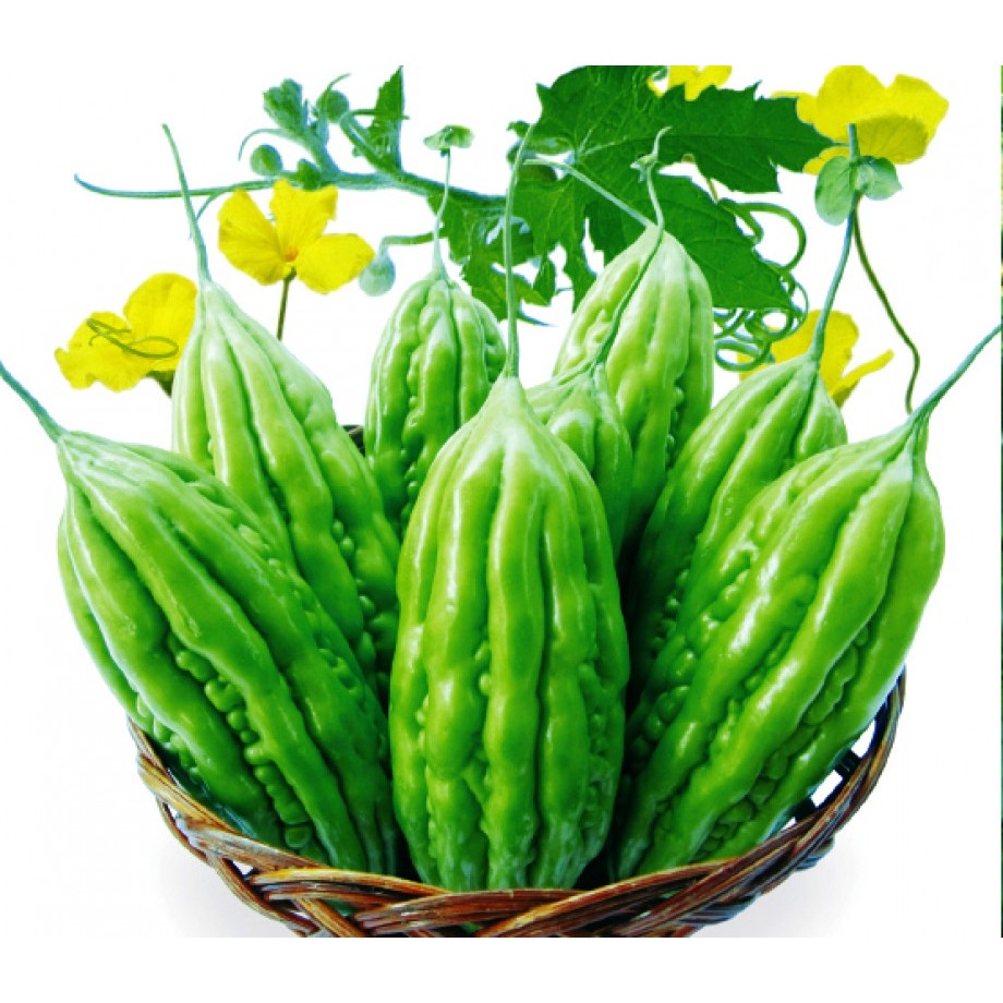 Hạt Giống KHỔ QUA LAI F1 SH52 - 100 Hạt - SEN HỒNG