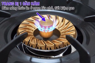 Bếp ga đôi Rinnai RV-365(G)N