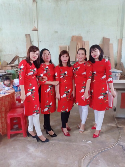 ÁO DÀI CÁCH TÂN CHIM HẠC IN 3D( KÈM HÌNH THẬT) | BigBuy360 - bigbuy360.vn