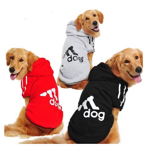áo nỉ thể thao ADIDOG có nón cho chó giống lớn