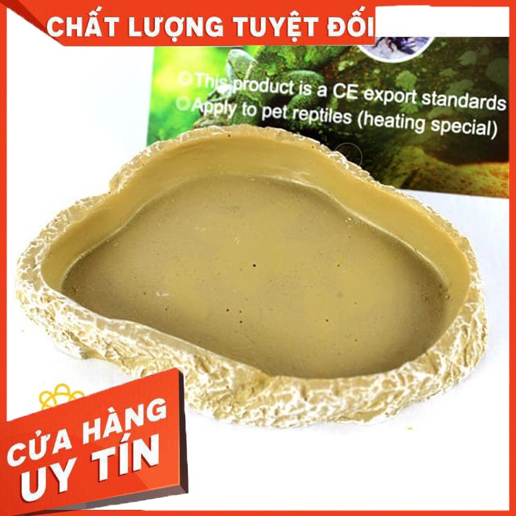 Chén ăn cho bò sát