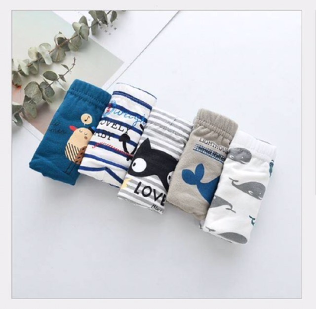 Set 5 quần chip bé Trai 10-50 kg