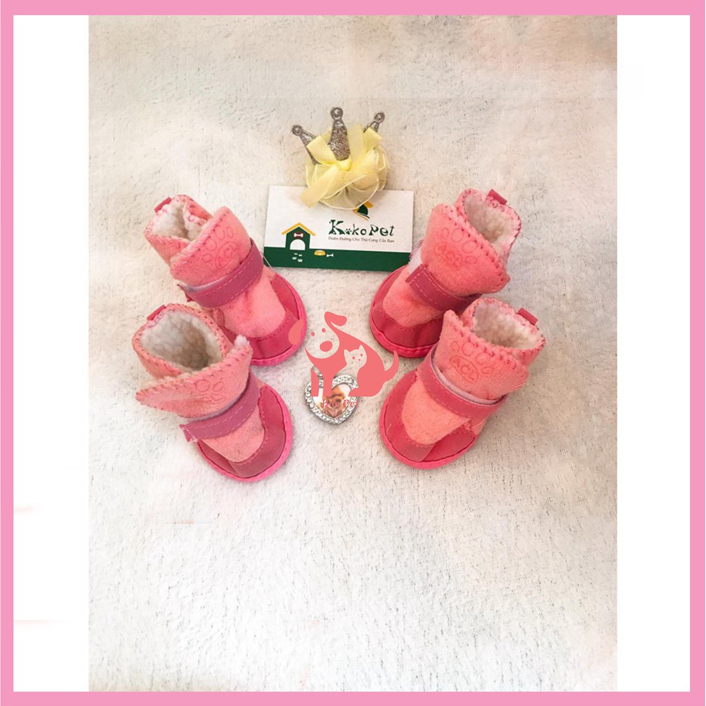 Bộ giày da lộn cho cún